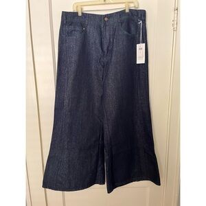NWT The Adi Mid-Rise Frayed Relaxed Flare Pants by Pilcro: Sparkle Edition